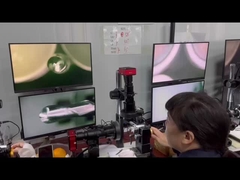 HRC 55° 8mm 2 Φλάουτες Σφαίρα Νύσο Τελικό Στρίπτη Για την Επιθεώρηση της Εμφάνισης και της Ποιότητας της Επιφάνειας του Αλουμινίου